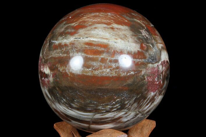 Bargain, Colorful Petrified Wood Sphere - Madagascar #67769